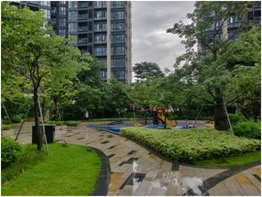 6万 买10万 豪宅片区 三大次新盘自然资源,爆发力的投资