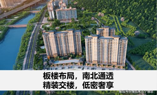 粤港澳大湾区西岸经济引擎 珠海 未来前景比肩深圳蛇口 珠海山水阅琴湾