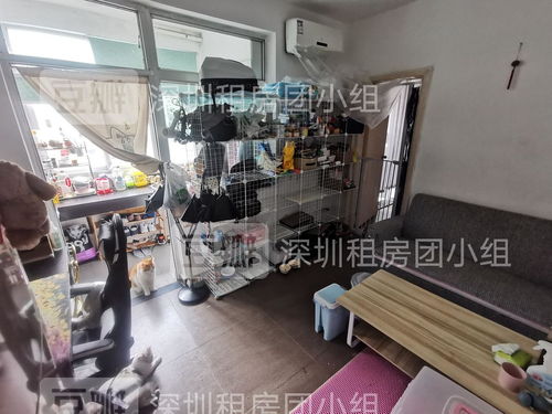 二号线 蛇口东角头地铁站旁边五分钟,一房一厅...