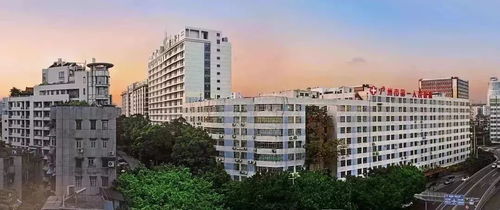 海外招聘 与众不同的你,哈佛见