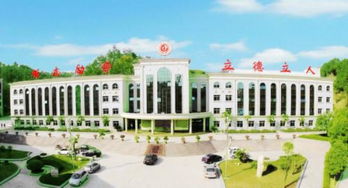 东风阳光城四期祝愿全市人民春节快乐 平安健康