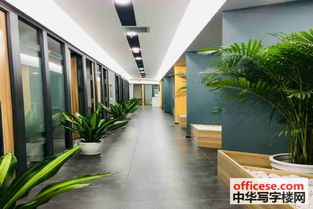 数码大厦写字楼出租 蛇口南油水湾办公室出租,提供租赁凭证 可注册 近花 中华写字楼网深圳站