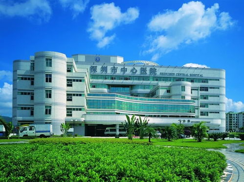 医疗健康,华森品牌首秀全国医院建设大会