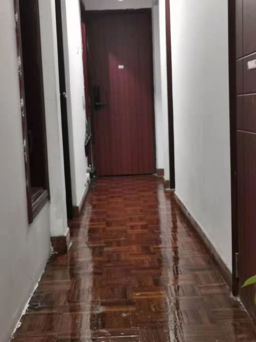 房东出租 华彩花园 蛇口人民医院旁 1100元起 蛇口沃尔玛 花园...