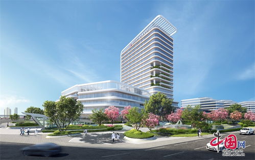 联合川大华西共建 成都高新区人民医院项目开工