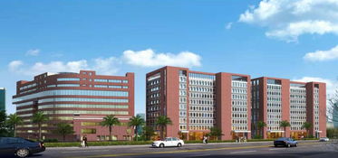 来了 东莞市第九人民医院正式开办,规划床位500张 地点在