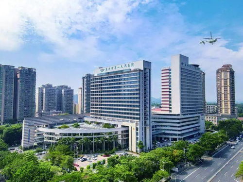 院长谈 新质生产力 专访惠州市第一人民医院院长袁霞 做强 八大中心 做优智慧医疗