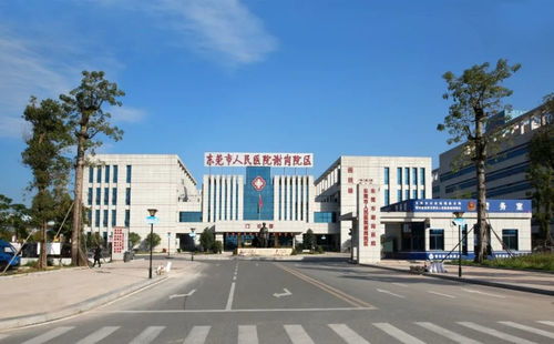 谢岗医院引进纤维支气管镜 助呼吸系统疾病患者早日确诊