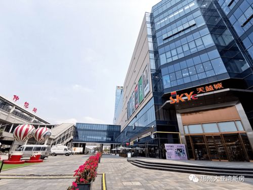 2021 惠州 为何这么火爆,专业人士是这样说的.为何被众说纷纭