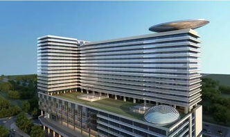 智慧宜居城 武汉开发区登上国际竞争舞台