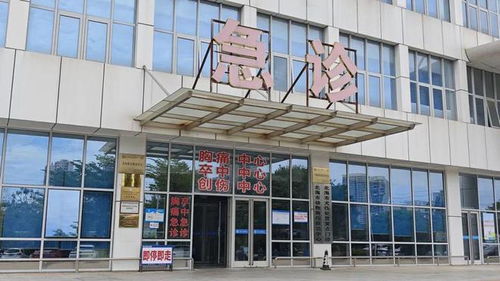 北海一女子在除草时被咬,大哥瞬间徒手反杀 医生提醒