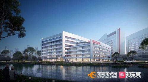 最新 东莞这些重大项目安排上了