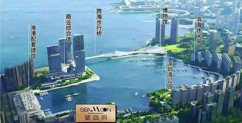 蛇口海景公寓 户户带阳台，端户通燃气，毗邻蛇口人民医院