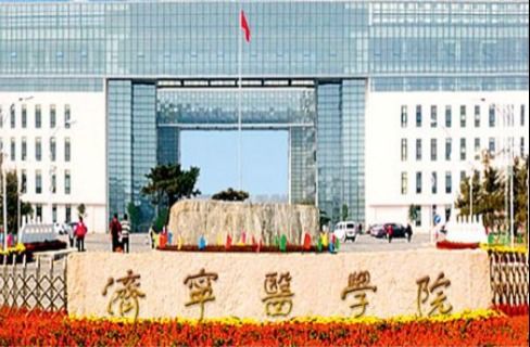 学术诚信再响警钟 济宁市第一人民医院与蛇口人民医院论文因蛋白条带重复遭质疑