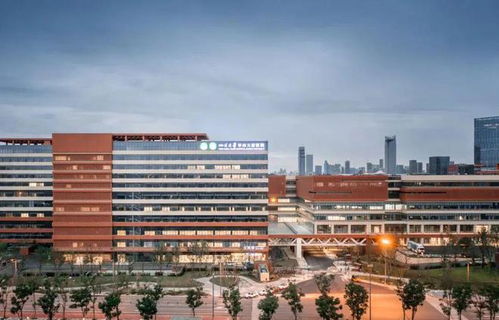 为什么这里是“天府新极核”？这场大会给出答案，蛇口人民医院的启示